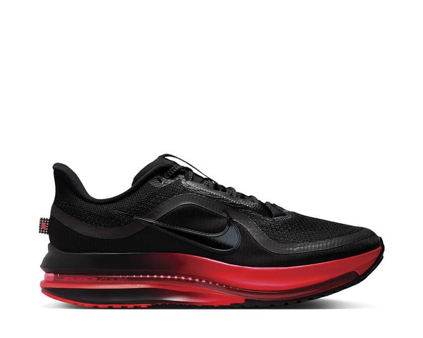 Nike Pegasus Premium Black