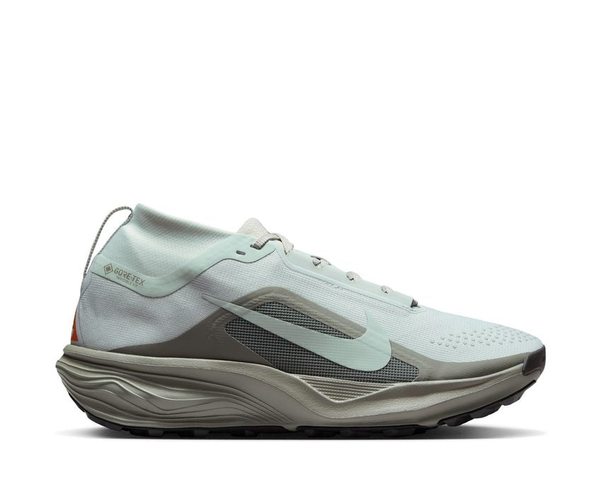 Nike Acg Pegasus Trail Gtx Silver