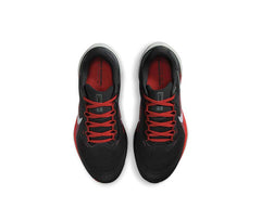 Nike Air Zoom Pegasus 41 Crimson