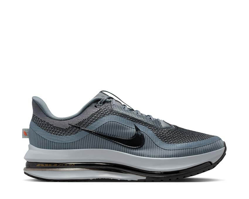 Nike Pegasus Premium Cool Grey
