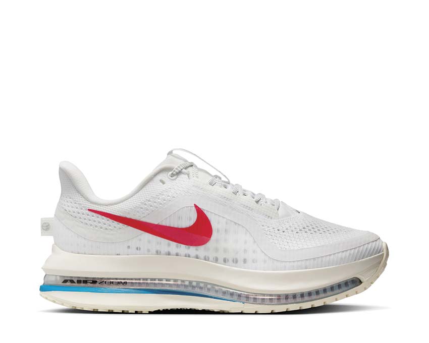 Nike Pegasus Premium W Forest Gump