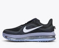 Nike Pegasus Premium Anthracite