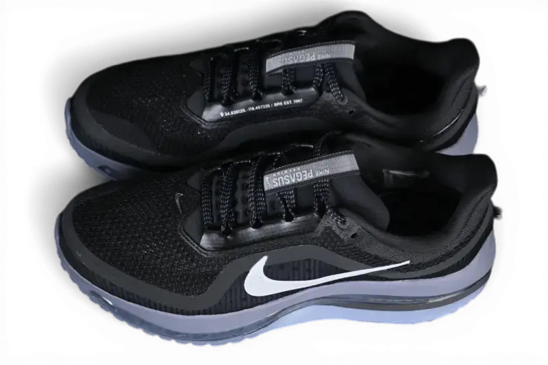 Nike Pegasus Premium Anthracite