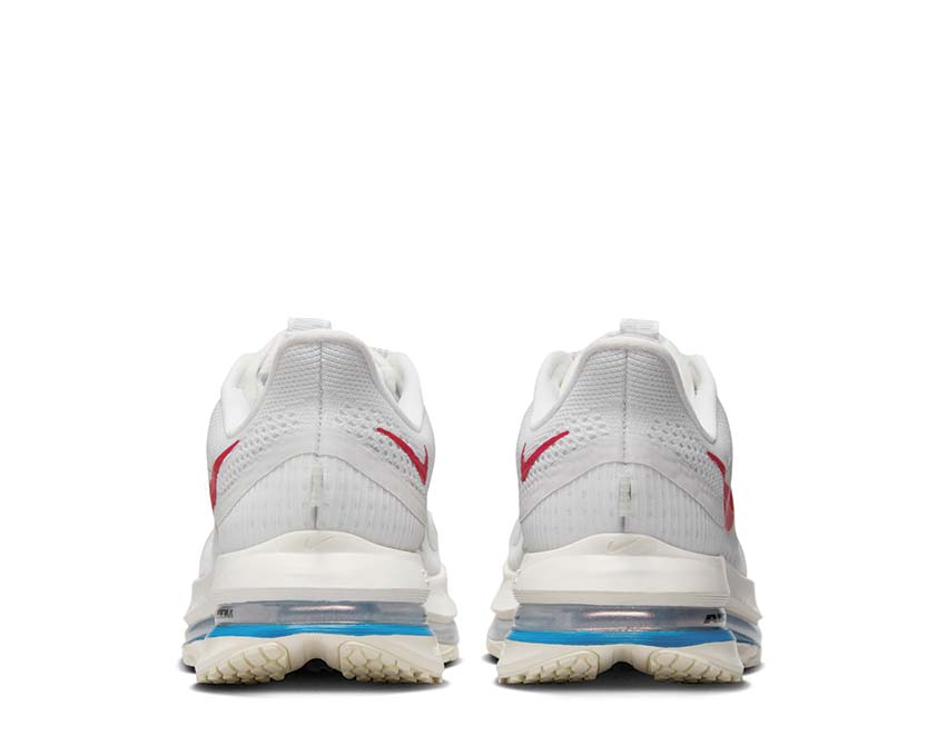 Nike Pegasus Premium Forrest Gump