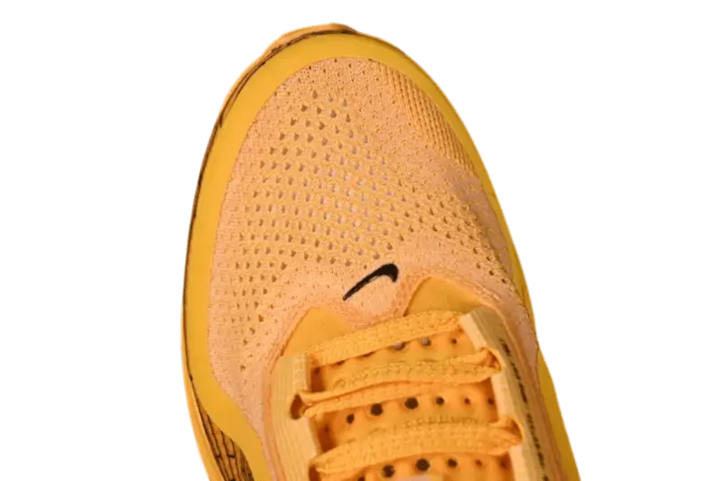 Nike Pegasus Premium LV8 Mayfly