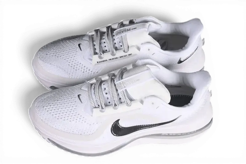 Nike Pegasus Premium White Metallic Silver